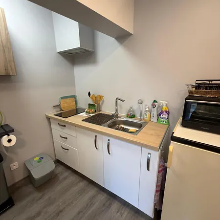 Avec Mezzanine Apartment